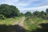 Land for sale in Chom Phu, Chiang Mai