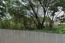 Land for sale in Tha Sala, Chiang Mai
