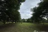 Land for sale in Nong Chom, Chiang Mai