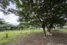 Land for sale in Nong Chom, Chiang Mai