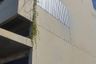 4 Bedroom House for sale in Tha Raeng, Bangkok