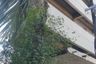 4 Bedroom House for sale in Tha Raeng, Bangkok