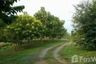 Land for sale in Mae Raem, Chiang Mai