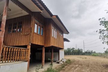 Land for sale in Buak Khang, Chiang Mai