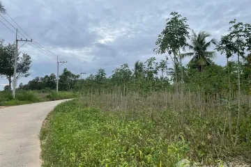 Land for sale in Pong, Chonburi