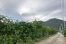 Land for sale in Sam Roi Yot, Prachuap Khiri Khan