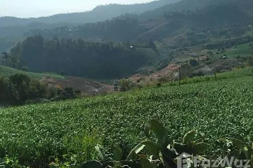 Land for sale in Mae Na Toeng, Mae Hong Son