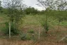 Land for sale in Hua Hin, Prachuap Khiri Khan