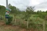 Land for sale in Hua Hin, Prachuap Khiri Khan