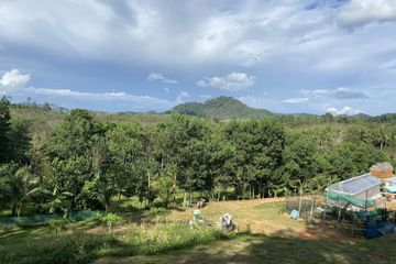 Land for sale in Tha Yu, Phang Nga