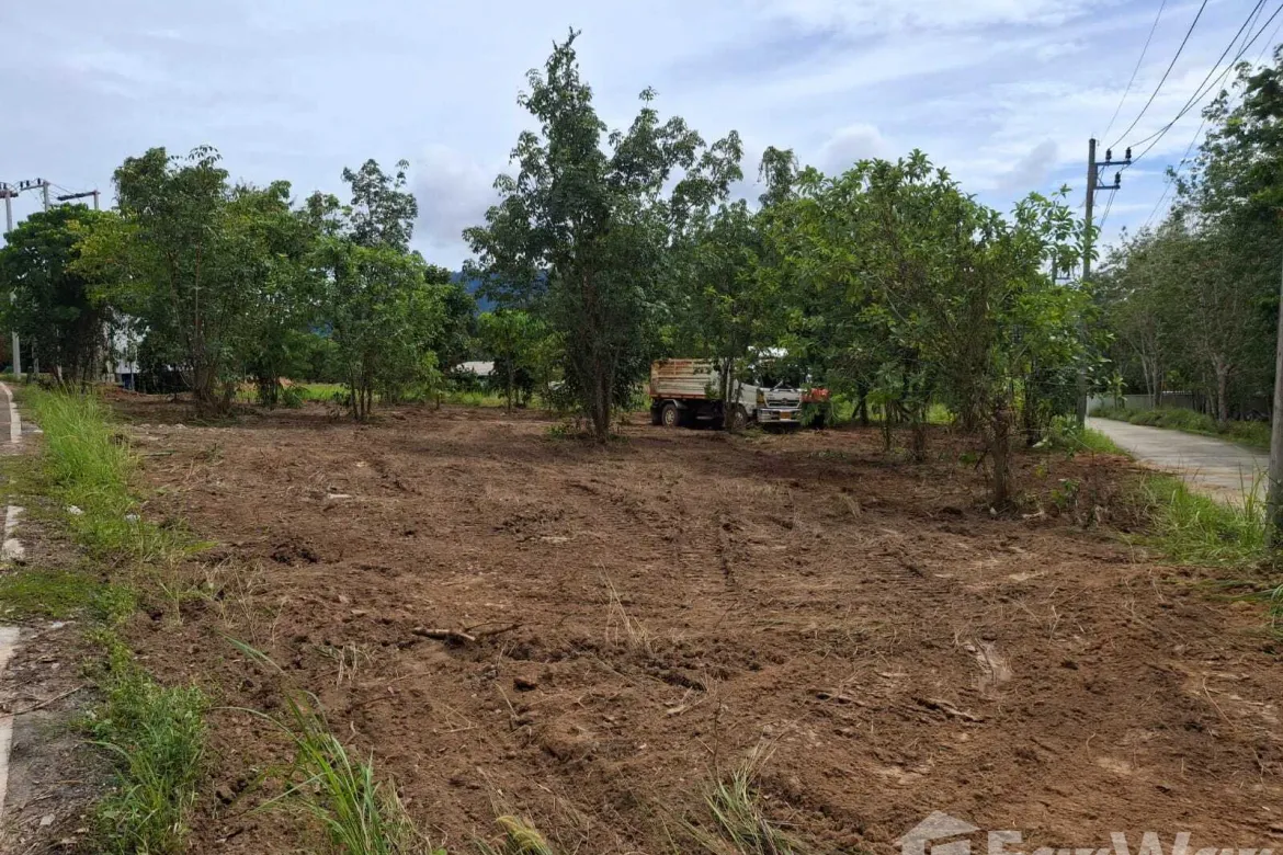 Thalang, Phuket - Photo 3