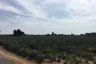 Land for sale in Bo Nok, Prachuap Khiri Khan