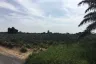 Land for sale in Bo Nok, Prachuap Khiri Khan