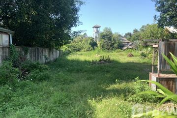 Land for sale in Nong Han, Chiang Mai