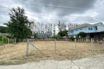 Land for sale in Tha Sala, Chiang Mai
