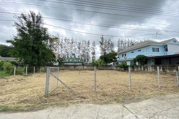 Land for sale in Tha Sala, Chiang Mai