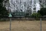 Land for sale in Tha Sala, Chiang Mai