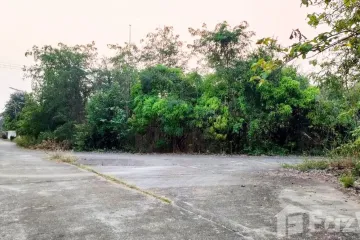 Land for sale in Buak Khang, Chiang Mai