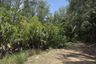 Land for sale in Sakhu, Phuket