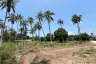 Land for sale in Thap Sakae, Prachuap Khiri Khan