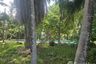 6 Bedroom Villa for sale in Chalong, Phuket