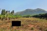 Land for sale in Pak Nam Pran, Prachuap Khiri Khan