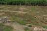 Land for sale in Cha am, Phetchaburi