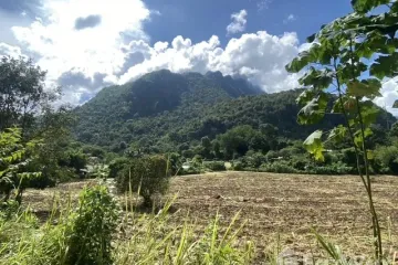Land for sale in Chiang Dao, Chiang Mai