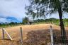 Land for sale in Sam Roi Yot, Prachuap Khiri Khan