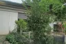 Land for sale in Khlong Thanon, Bangkok near BTS Sai Yud