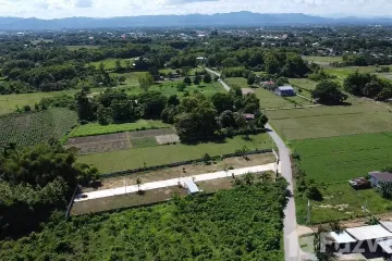 Land for sale in Kanchana, Phrae