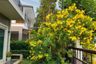 4 Bedroom Villa for sale in Supalai Pride Bangna - Outer Ring, Racha Thewa, Samut Prakan