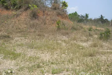 Land for sale in Nong Phlap, Prachuap Khiri Khan