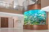 7 Bedroom House for sale in Khlong Tan Nuea, Bangkok