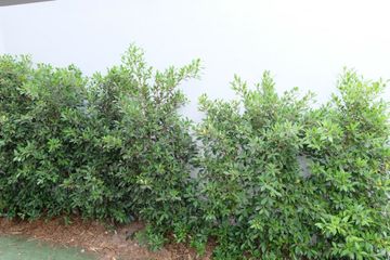 3 Bedroom House for rent in Nong-Kham, Chonburi