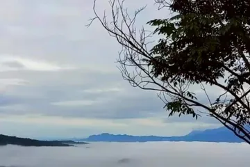 Land for sale in Na Sam, Phetchabun