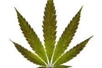 House for Sale or Rent in Isan, Buriram