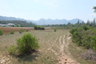 Land for sale in Sam Roi Yot, Prachuap Khiri Khan