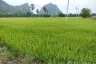 Land for sale in Cha am, Phetchaburi
