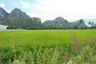 Land for sale in Cha am, Phetchaburi