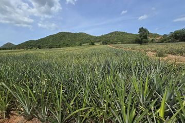 Land for sale in Sam Roi Yot, Prachuap Khiri Khan