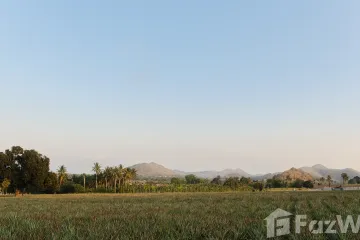 Land for sale in Wang Phong, Prachuap Khiri Khan