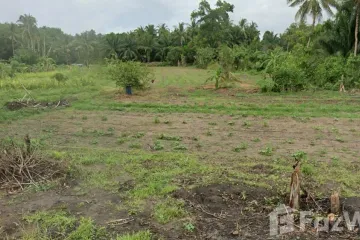 Land for sale in Na Cha-ang, Chumphon
