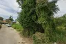 Land for sale in Na Kluea, Chonburi