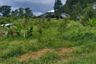 Land for sale in Thap Prik, Krabi