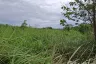 Land for sale in Thap Tai, Prachuap Khiri Khan