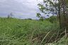 Land for sale in Thap Tai, Prachuap Khiri Khan