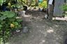 Land for sale in Pa Khlok, Phuket
