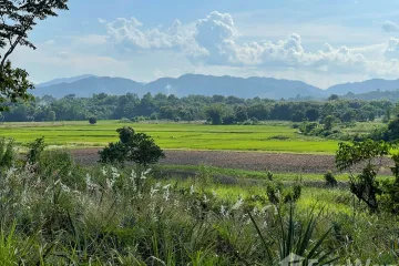 Land for sale in Pa Sang, Chiang Rai