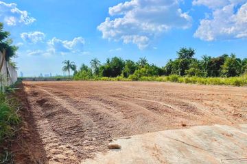 Land for sale in Nong Prue, Chonburi